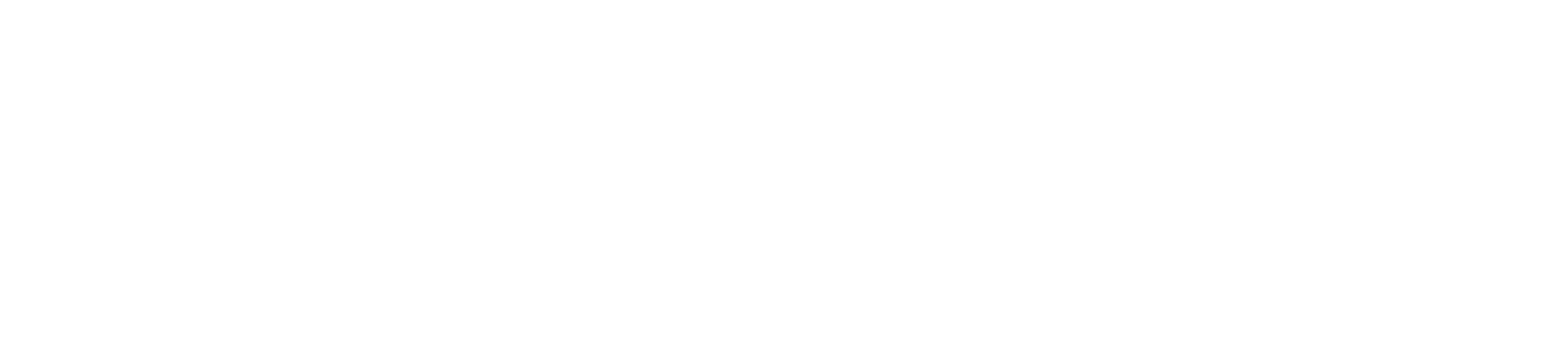 Leskovacki internacionalni festival filmske rezije